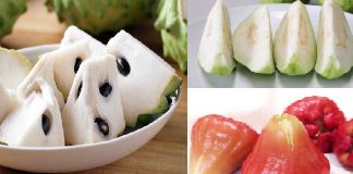 フルーツ天国・台湾!!