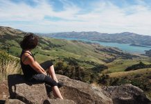 異説! 何故、ニュージーランドのワーホリ・留学には九州出身者が多いのか?