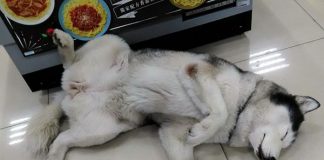 台湾の「おおらかでゆる~い空気」が好き!