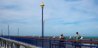 恋愛とワーホリと・・・何のためにニュージーランドに来たのかわからなくならないために