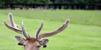 アイルランド生活で感じた、仕事と生活のバランス感覚の違い