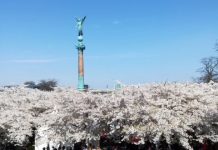 デンマーク流に見る、働き方・・・当たり前のことですが、素敵なこと、とは?