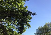 基本的にエアコン無しで乗り切る、ポーランドの夏