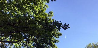 基本的にエアコン無しで乗り切る、ポーランドの夏