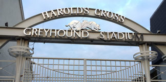 アイルランドから・ワーホリはお金を貯めてから始める? それとも始めてからバイトで稼ぐ?