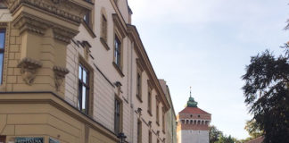 ポーランドでのワーキングホリデーを成功させるために必要なもの