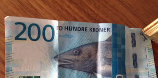 ノルウェーでのワーホリを成功させるポイントは知り合いの多さと・・・