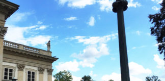 脳の活性化!ワルシャワの公園でリラックス