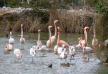 フランス流に遊びを満喫! ー自分を大切にする時間を過ごすことー