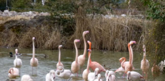 フランス流に遊びを満喫! ー自分を大切にする時間を過ごすことー