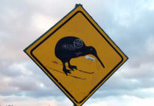 オーストラリア、カナダ、ニュージーランドで車を運転する際に注意して欲しいこと