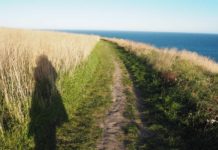 敢えて乗り物を使わずに「歩く」という感覚。車社会から飛び出した私が見付けたモノ