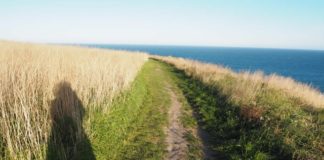 敢えて乗り物を使わずに「歩く」という感覚。車社会から飛び出した私が見付けたモノ