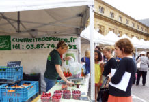 美食の国のフランスで食生活を充実させよう!