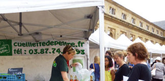 美食の国のフランスで食生活を充実させよう!