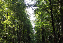 身も心もゆっくり過ごすバケーション@スロバキア