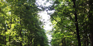 身も心もゆっくり過ごすバケーション@スロバキア