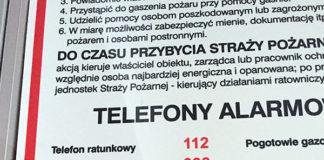 世界的にも難しい「ポーランド語」を習得するには