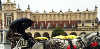 日本の”思いやり”精神は人々を幸せにする@ポーランド