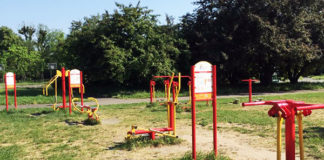 風邪予防! 『無料』 のフィットネスジムで運動習慣を身につける