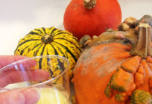 図書館の静かな空間に響き渡る「ポリポリ」音の正体とは? ノルウェーより