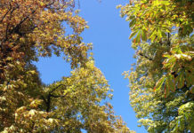 秋のノルウェーで体験してほしい事 Top3