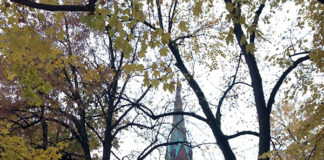 私的に厳選のおすすめスポット・ノルウェー編