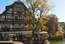 ワーホリの定番シェアハウスでの一ヶ月の生活費@ドイツ