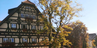 ワーホリの定番シェアハウスでの一ヶ月の生活費@ドイツ