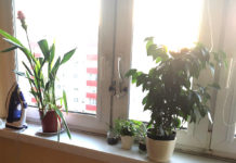 物価の安いポーランド・ワーホリ生活費は月6万円ほどあれば十分