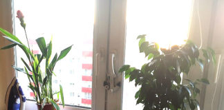 物価の安いポーランド・ワーホリ生活費は月6万円ほどあれば十分