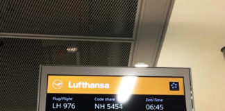 アイルランドから、旅のヒントとオススメのアイテム