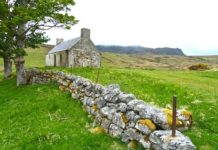 2019年度アイルランドのワーキングホリデービザの申請受付開始