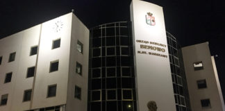 ポーランドでの学び!ポーランド語からよさこいまで様々