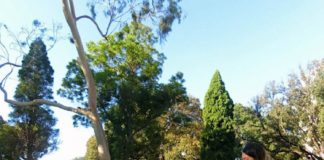 ワーホリで英語とスキルを身につけて、仕事に生かす!!!