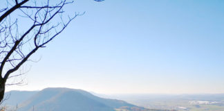 ワーホリをしていて面白いのが、先の生活が読めないこと