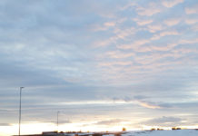 ワーホリに行った先、ノルウェーで待ち受けている未来・・・