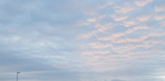 ワーホリに行った先、ノルウェーで待ち受けている未来・・・