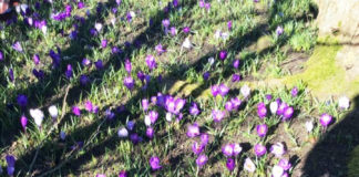 ジンクスがあまりないのは、デンマーク人は現実的な楽観主義者だから?