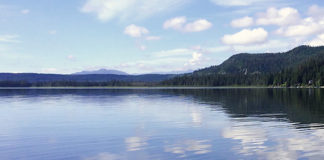 自分の好きなことを通じて自分の世界を広げる@バンクーバー