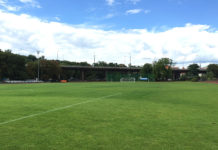 言語交換からスポーツイベントまで様々な行事があるポーランド