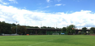 言語交換からスポーツイベントまで様々な行事があるポーランド