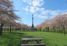 4月27・28日はデンマークの「桜フェスティバル」