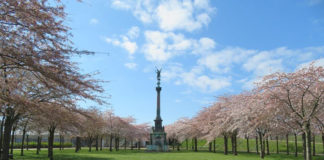 4月27・28日はデンマークの「桜フェスティバル」