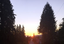 安全運転で、楽しいカナダ・ワーホリライフを!