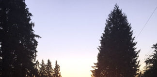 安全運転で、楽しいカナダ・ワーホリライフを!