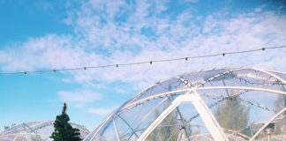 メルボルンの冬に楽しめるアクティビティー