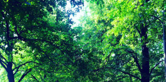 ポーランドの夏・涼しいけれど、紫外線対策をお忘れなく!