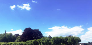 ドイツの夏休みで「気をつける」こととは?