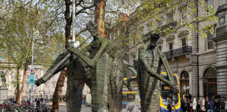 アイルランドの国内旅行で夏を満喫!